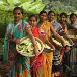Grupo de mulheres agricultoras sorrindo e segurando cestas com hortaliças recém-colhidas em uma área verde.