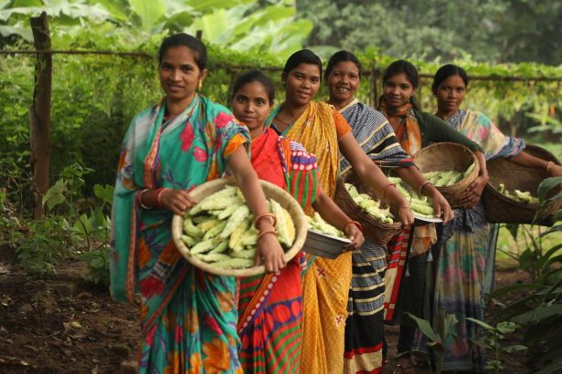 Grupo de mulheres agricultoras sorrindo e segurando cestas com hortaliças recém-colhidas em uma área verde.